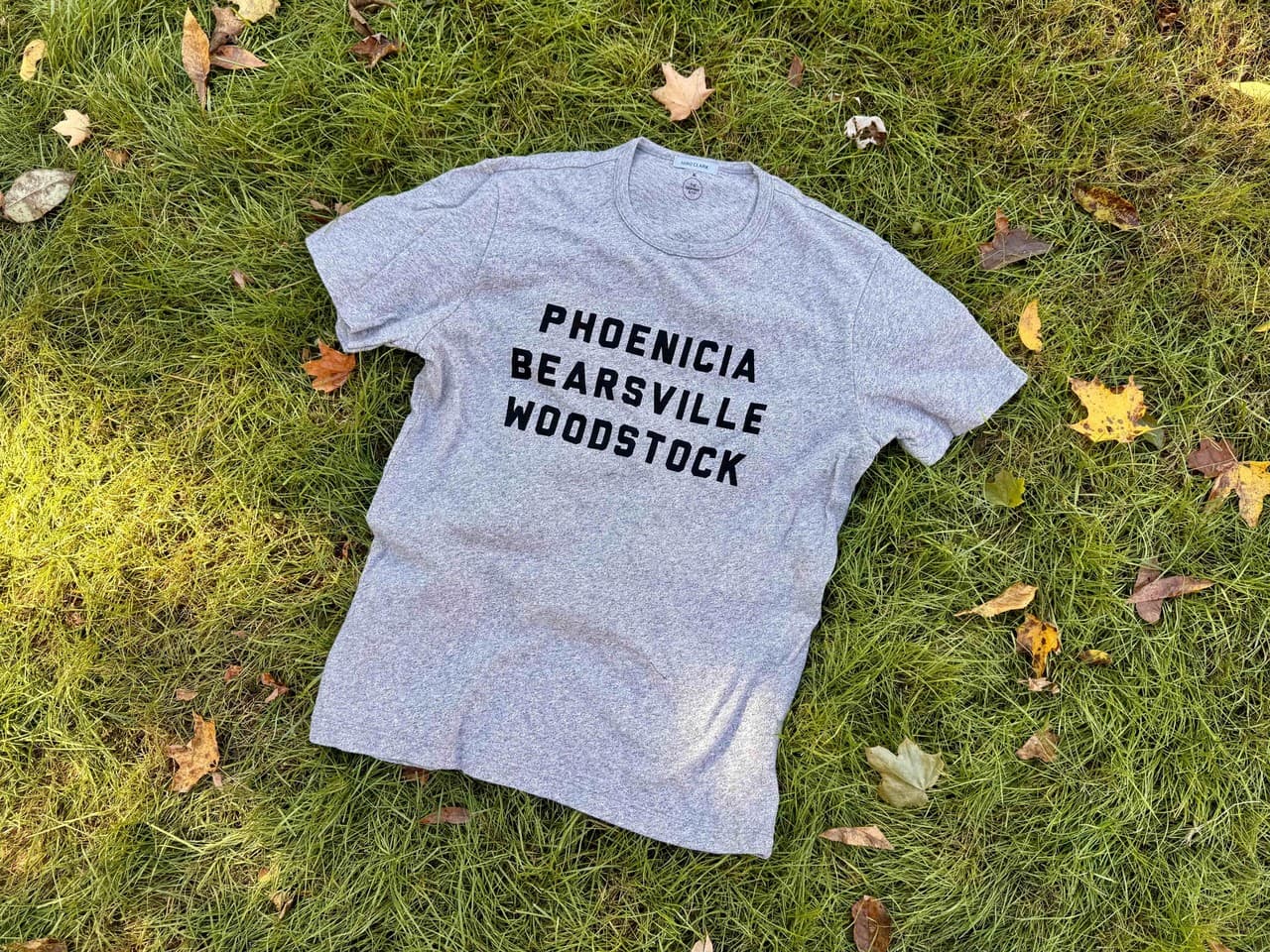 Phoenicia Bearsville Woodstock tee in grey